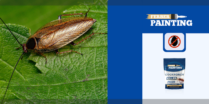 Опасни ли са хлебарките за вашето здраве?